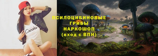 дживик Бугульма