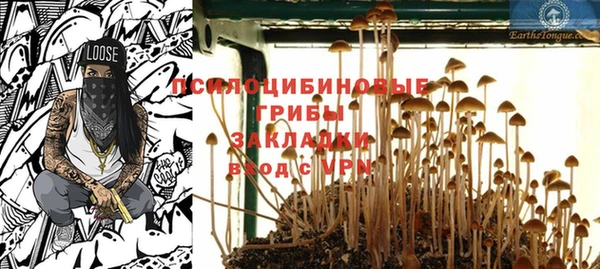 стаф Шарыпово