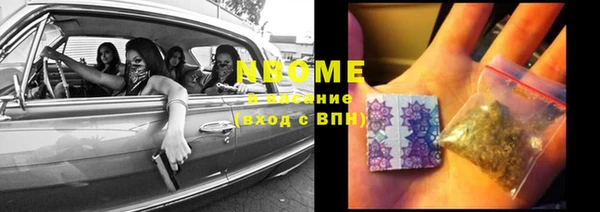 бошки Бронницы