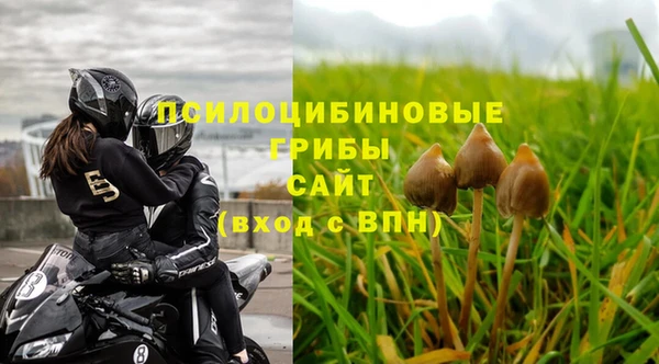 спайс Шадринск