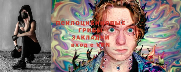 бошки Бронницы