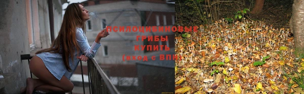 спайс Шадринск