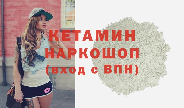 шишки Бородино
