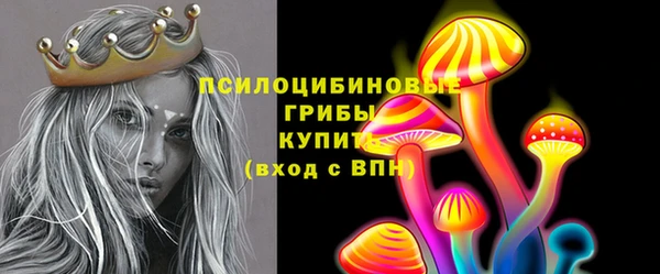 бошки Бронницы