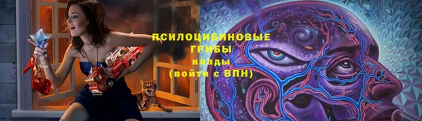 винт Шали