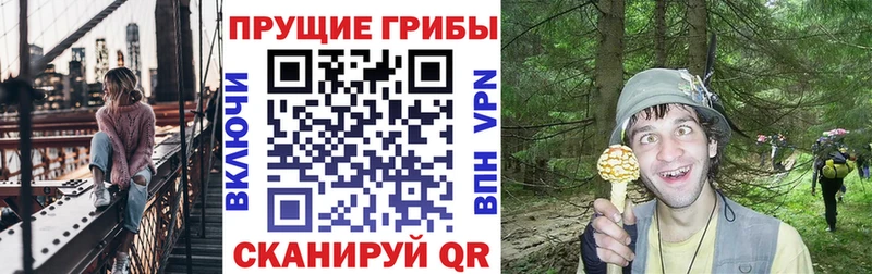 Псилоцибиновые грибы GOLDEN TEACHER  Озёрск 
